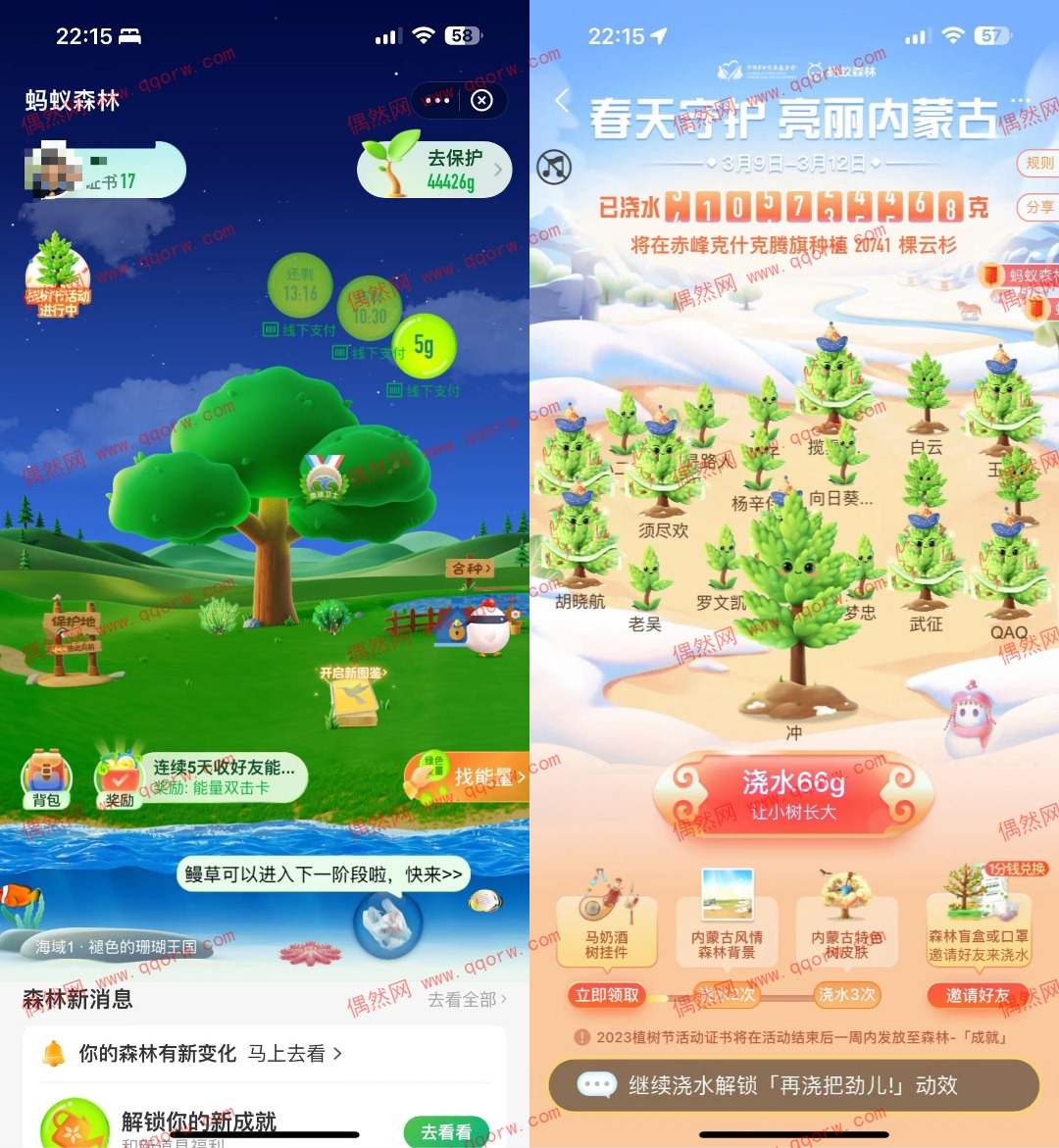 蚂蚁森林4万份0.01口罩 支付宝蚂蚁森林守护春天