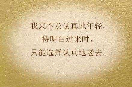 23637f139a5e52ff4022be546f853d39.jpeg