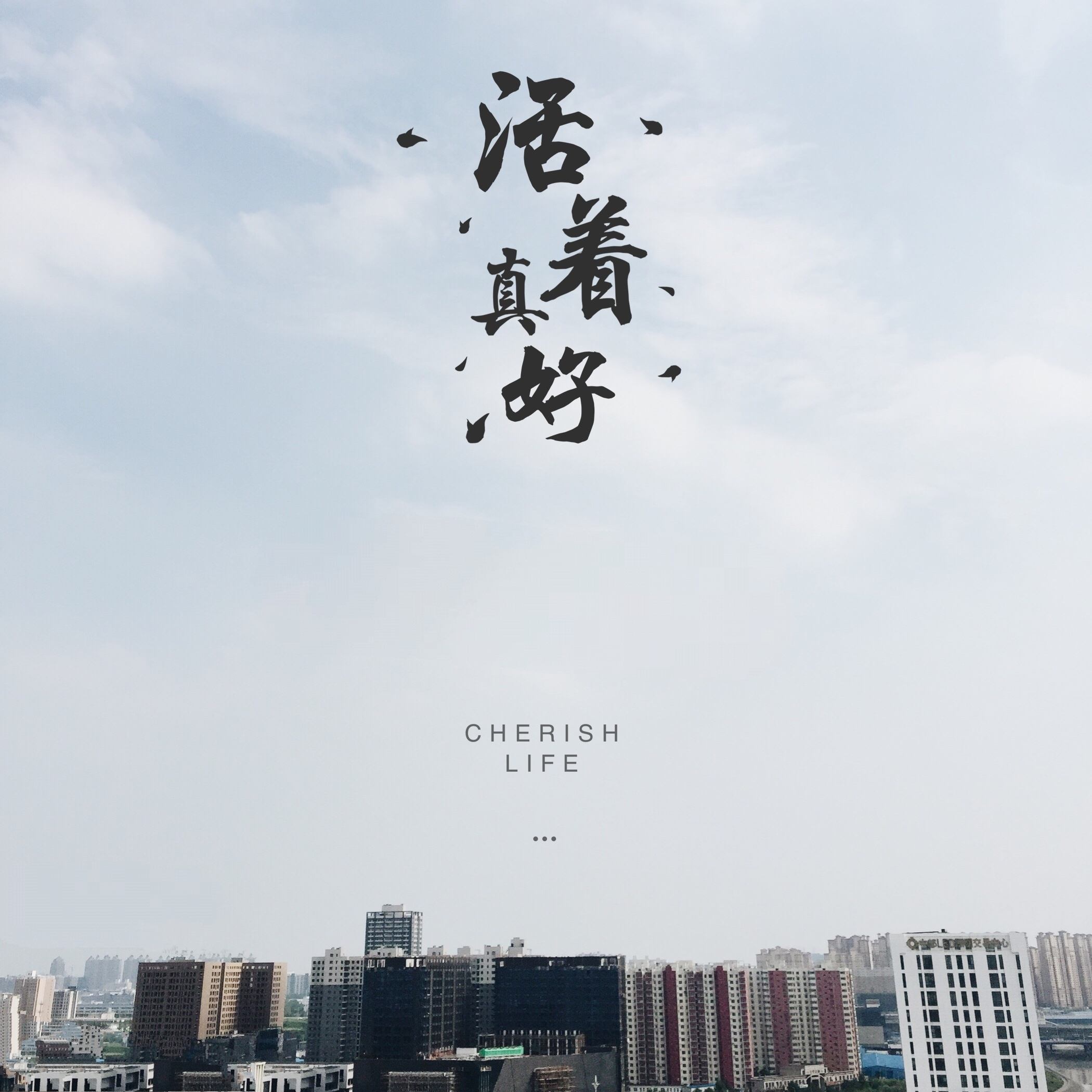 「歌曲分享：蓝莲花」